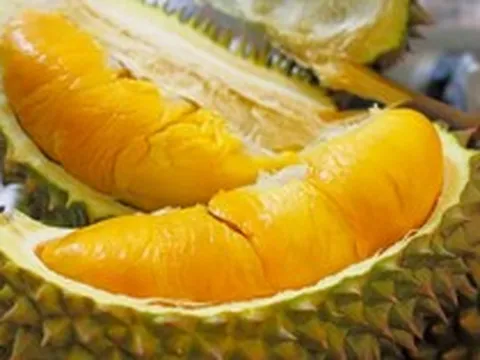 Đề xuất rút ngắn thời gian cấp mã số vùng trồng