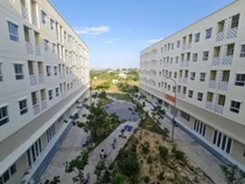 Mua nhà ở xã hội chưa đủ 5 năm đã cho thuê lại, chủ nhà có thể bị phạt đến 120 triệu đồng, thu hồi căn hộ