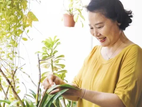 Đừng đợi nghỉ hưu mới lo: 3 điều quyết định tuổi già sung túc hay chật vật