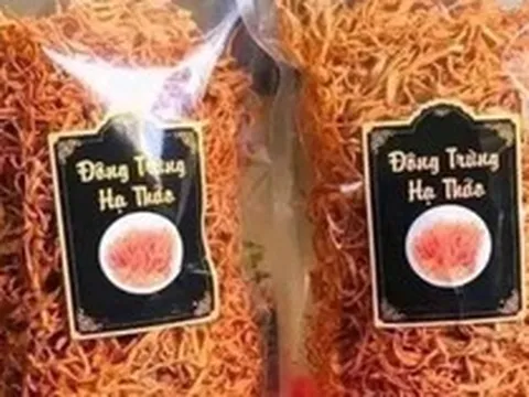 Đông trùng hạ thảo sấy khô rẻ như rau, công dụng thế nào?