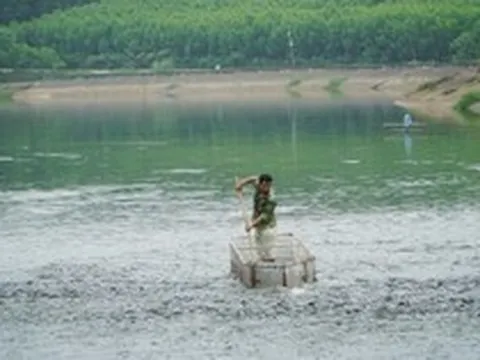 Bỏ phố về quê nuôi con cá rẻ như cho nhưng được xem như 'thuốc đại bổ', thanh niên 9X xây trang trại doanh thu tiền tỷ