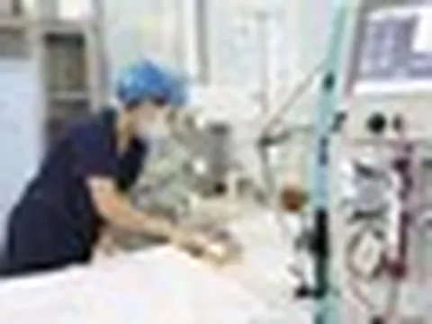 Bé trai 15 tháng tuổi nguy kịch sau khi bị ong vò vẽ đốt 60 nốt