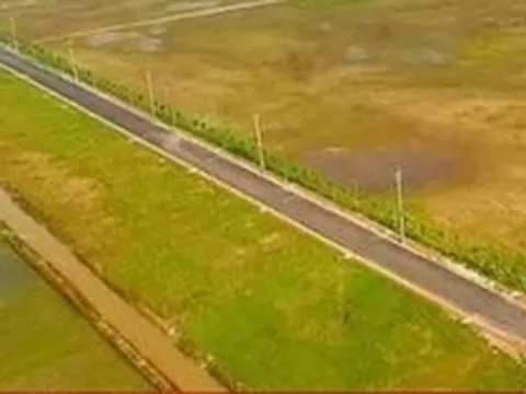 Cục Thuế yêu cầu khắc phục tình trạng chậm, quá hạn giải quyết hồ sơ đất đai