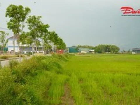 Đấu giá đất nông thôn ở Hà Tĩnh: Vì sao giá khởi điểm lên tới hơn 5,3 tỷ đồng?