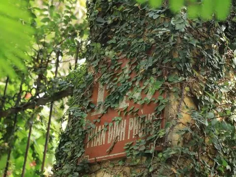 Hiện trạng ngôi nhà của Hoàng Thái hậu cuối cùng triều Nguyễn chờ ngày "hồi sinh"