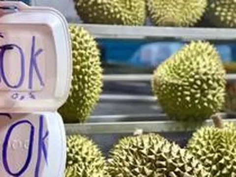 Xuất khẩu sầu riêng tốt, vì sao giá trong nước lại rẻ?