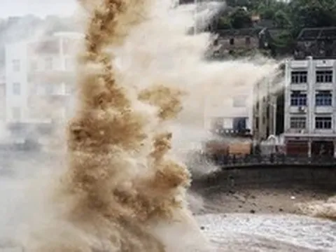 Bão Dolphin hướng về Trung Quốc, tỉnh Chiết Giang triển khai ứng phó