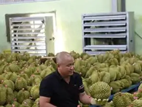 Để nông sản tỷ đô không vỡ trận xuất khẩu: Gian nan tìm 'hộ chiếu'