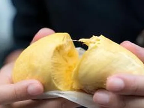 “Vụ án sầu riêng”, Thứ trưởng vướng lao lý: Ai sầu hơn ai?