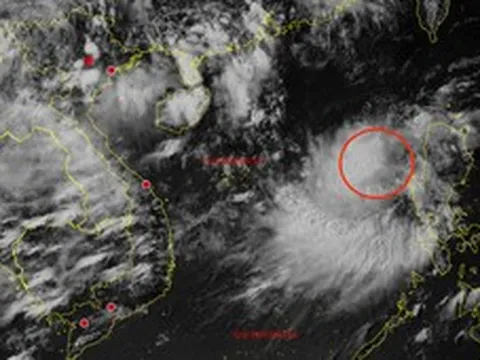 Áp thấp nhiệt đới vừa hình thành trên Biển Đông, miền Bắc mưa lớn từ chiều nay