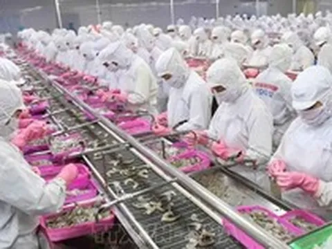 Xuất khẩu thủy sản có thể vượt 12 tỷ USD