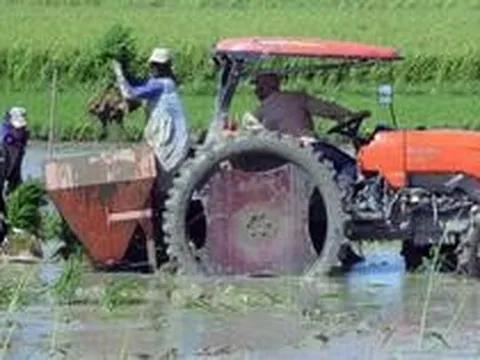Cuba vừa đón tin cực vui, một doanh nghiệp Việt góp công lớn