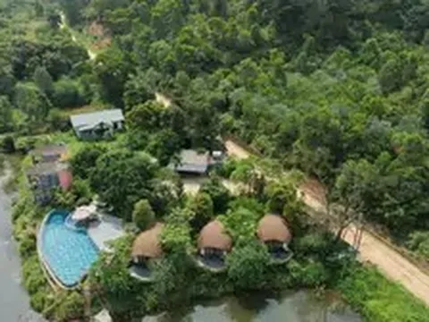 Yêu cầu kiểm tra, xác minh phản ánh villa, homestay mọc trong rừng phòng hộ Sóc Sơn