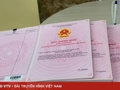 Đất nhận chuyển nhượng lâu năm, mất giấy tờ gốc: Làm sao để cấp sổ?