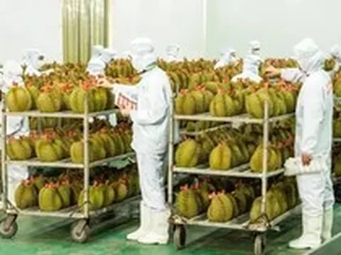Trung Quốc chi 2,5 tỷ USD mua rau quả Việt