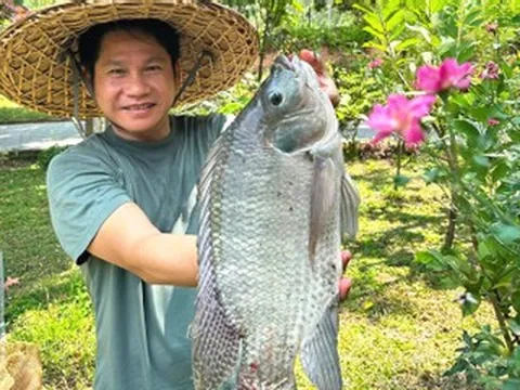 Ca sĩ Trọng Tấn câu được cá to, cuộc sống đầy hoa tươi của hoa hậu Giáng My