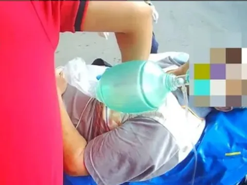 Bị ong đốt vẫn đi đón cháu, cụ ông 80 tuổi suýt mất mạng khi vừa về nhà