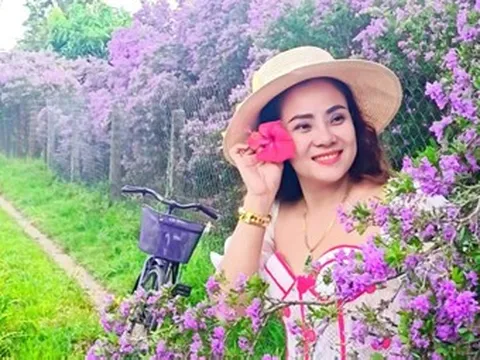 Vườn hoa tím 1.000m2 nở rộ ở Tây Ninh, chủ vườn mời khách ‘thưởng hoa’ miễn phí
