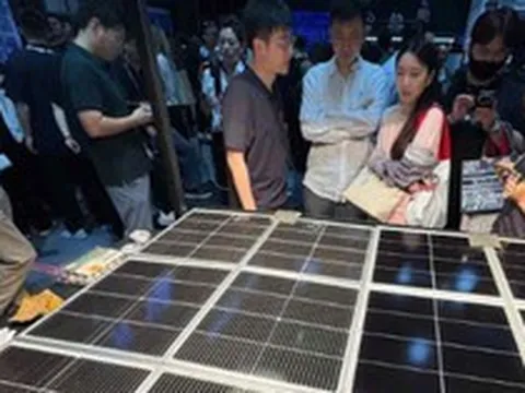 Lỗ hai năm liên tiếp, giá bán rớt một nửa: Cuộc chiến sinh tồn của ngành pin mặt trời Trung Quốc