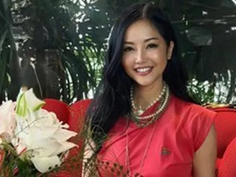 Diva Hồng Nhung thông báo khẩn