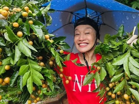 Khu vườn 3.000m2 bạt ngàn cây trái của diễn viên Tú Oanh 'Hương vị tình thân'
