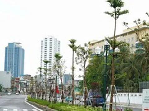 Đề xuất phương án lưu thông trên đường Vành đai 1, đoạn Hoàng Cầu - Voi Phục