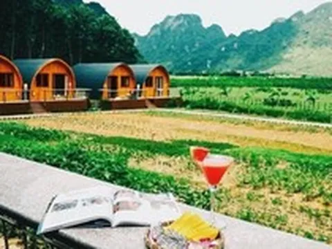 Sau cơn sốt 'bỏ phố về rừng', bất động sản trang trại giảm giá vẫn ế khách mua