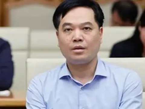 Bổ nhiệm trợ lý Phó Thủ tướng Chính phủ