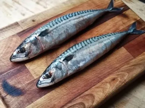 Loại cá "tốt nhất thế giới" ở Việt Nam đang vào mùa, thịt chắc, ít tanh, giàu omega-3 hơn cá hồi giúp bé thông minh