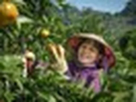 Việt Nam đứng thứ mấy trong bảng xếp hạng các nền kinh tế nông nghiệp lớn nhất thế giới?