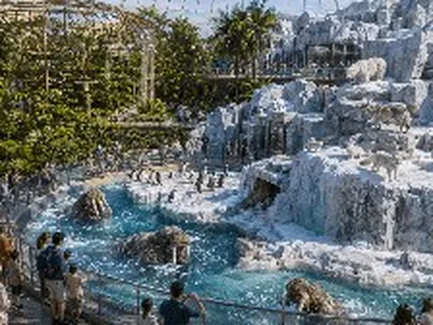Tỷ phú Phạm Nhật Vượng đang cho xây một "thế giới băng giá" ngay cạnh Safari nhiệt đới giữa Nam Bộ: Nằm trong quần thể 122ha, sẽ có những loài hiếm thấy ở Việt Nam