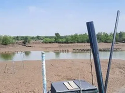 Nhiều doanh nghiệp bị thu hồi đất vì không đưa vào sử dụng