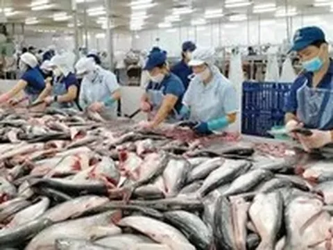 Xuất khẩu thủy sản tháng 7 đạt 1,1 tỷ USD, thị trường lớn hiện ra sao?