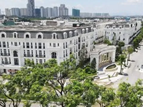 Một thành viên nhóm Lã Vọng được thuê 7.400 m2 đất xây trường học tại Hà Nội