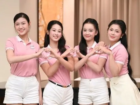 6 cô gái Hải Phòng ở Hoa hậu Việt Nam 2026