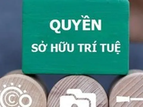 Tăng cường chế tài xử lý các hành vi xâm phạm quyền, vi phạm pháp luật về sở hữu trí tuệ