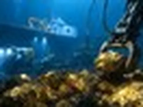 Phát hiện 'mỏ vàng vô hình' hàm lượng kỷ lục dưới đáy biển Nhật Bản