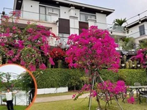 Biệt thự triệu đô của Cao Thái Sơn, thứ quý giá nhất không nằm trong nhà