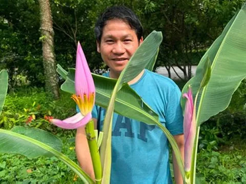 Trọng Tấn khoe hoa chuối độc lạ, vợ NSND Công Lý đăng ảnh hài hước bên chồng