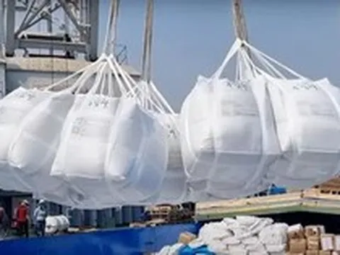 Philippines dựng thêm rào cản, gạo Việt trước bài toán tìm đầu ra