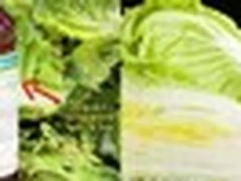 Trung Quốc xử lý vụ cải thảo bị nhúng formaldehyde để giữ tươi, hóa chất này nguy hiểm thế nào với sức khỏe?