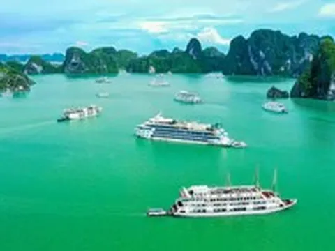Quảng Ninh quyết tâm xóa 'điểm mù' sóng điện thoại trên vịnh Hạ Long