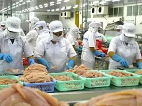 Biến bùn thải từ chế biến cá tra thành phân bón hữu cơ