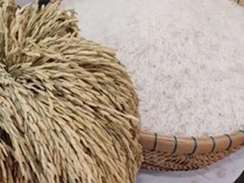 Giá xuất khẩu gạo tăng, nhưng đối thủ của Việt Nam, Thái Lan vẫn chưa thể vui mừng vì một lý do