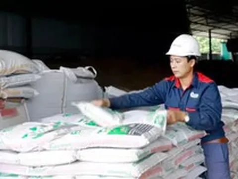 Hàn Quốc, Philippines tăng mua giá cao, xuất khẩu phân bón sắp lập kỷ lục