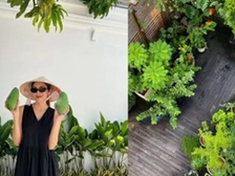 Vườn nhà Tăng Thanh Hà