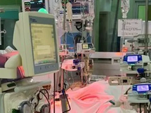 Hai người trẻ nguy kịch vì sốt xuất huyết, chi phí điều trị tiền tỷ