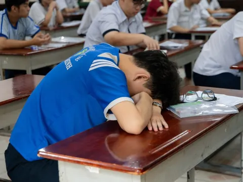 TP.HCM yêu cầu trường học chủ động phát hiện nguy cơ bắt nạt học đường