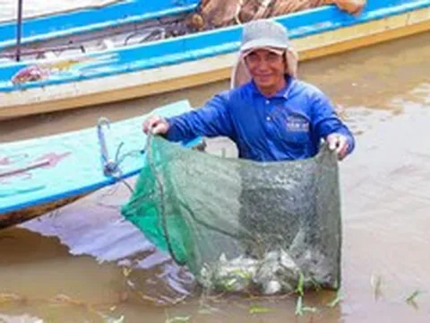 Thời tiết hôm nay 10-9: Lũ về sông Cửu Long; cả nước mưa dông