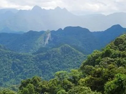 Việt Nam sẽ có “Bà Nà Hills thứ 2” rộng gần 170ha nằm trên ngọn núi cao 1.000m, có tuyến cáp treo kết nối